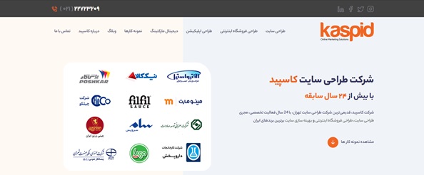 شرکت طراحی سایت کاسپید