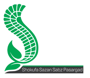 لوگوی شرکت انرژی مهر پاسارگاد